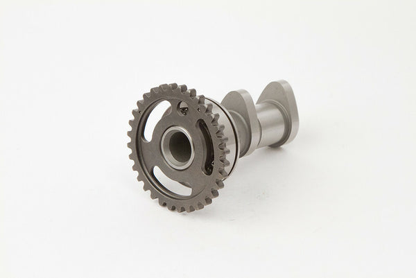 Assunzione di camme a camme calde - Fase 1 2041-1in