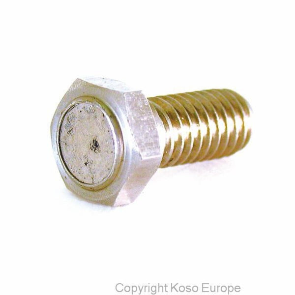 Vite a magnete koso per disco freno (M8 x P1.25 x 29L) BF010800N