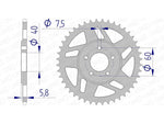 AFAM Alluminio posteriore parlato 72103 - 415