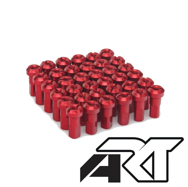 Set di raggi Haan Wheels - 36 raggi tr -red