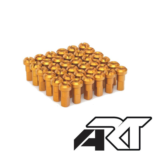 Set di raggi HAAN WHEELS - 36 raggi tr -gold