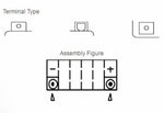 Yuasa W/C Battery Maintenance Free Factory Activated - YTZ8V