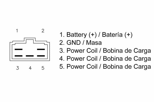 Tecnium di DZE Regulator 1080592