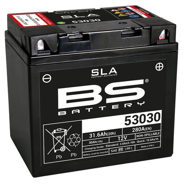 Batteria BS Manutenzione SLA -cree Factory -Batteria abilitata -53030