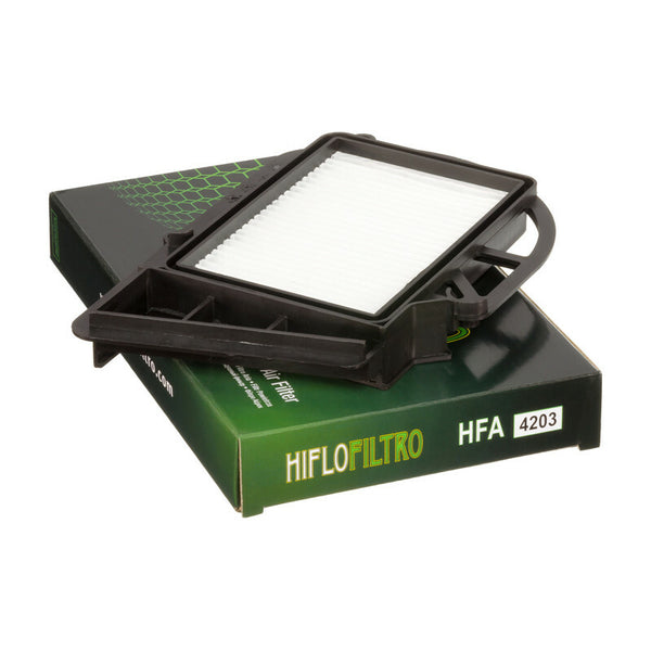 Variatore del filtro dell'aria Hiflofiltro - HFA4203 HFA4203