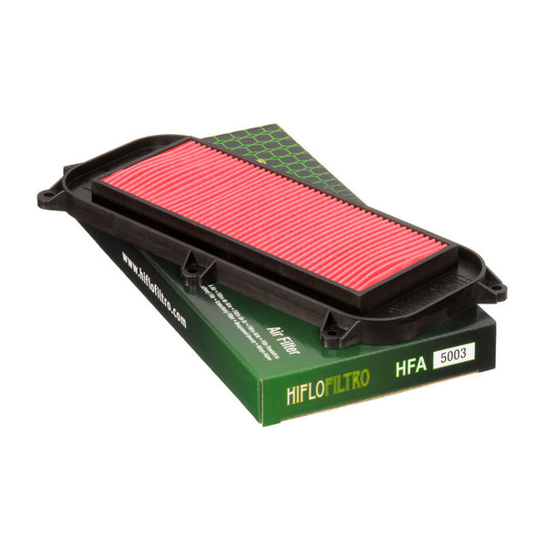 Filtro aria Hiflofiltro - HFA5003 HFA5003