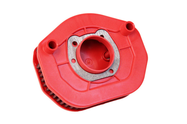 Filtro aria BMC - FM01066 FM01066