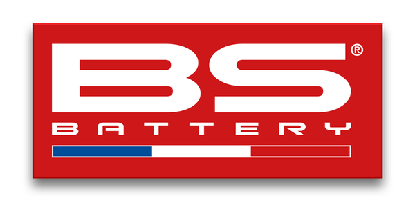 BS Battery Adesivo - Bandiera francese (variante rossa) - 300 × 131 mm - 900102