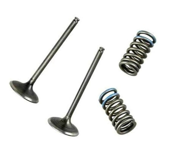 Wössner Valve di aspirazione in acciaio - Kawasaki KX450F VKS4023B -Inter