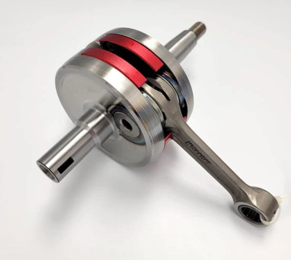 Wössner OEM Gink albero CS2055