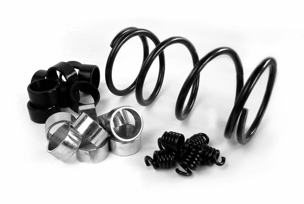 Kit frizione epi kymco we436800