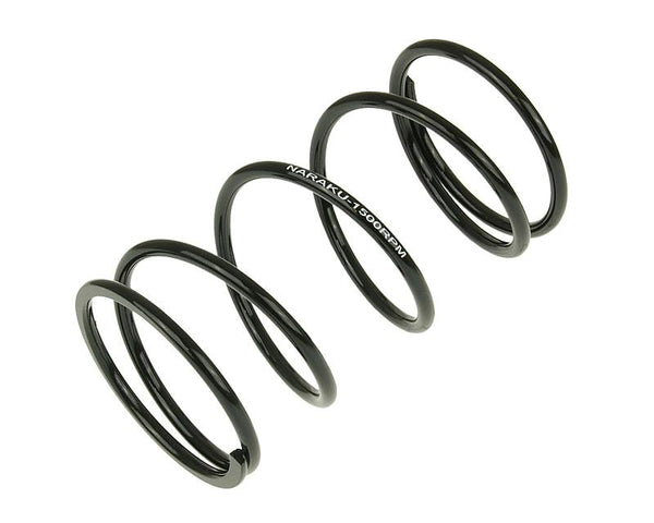 NARAKU TRQ Spring Sport +1500rpm NK900.64