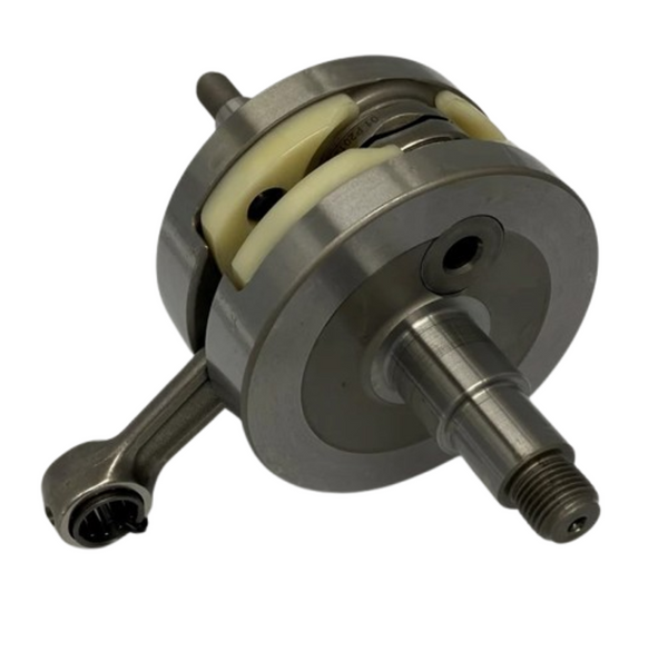 Wössner Gink albero CS2023-1