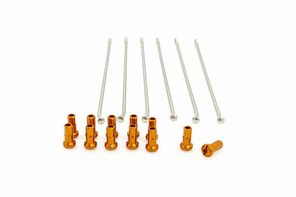 Kite spokes 19 rr si /or nip 12pc 20.907.0.ar