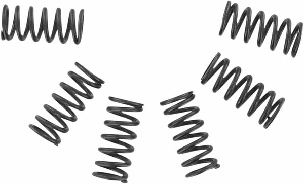 Set di molla frizione EBC CSK CSK002