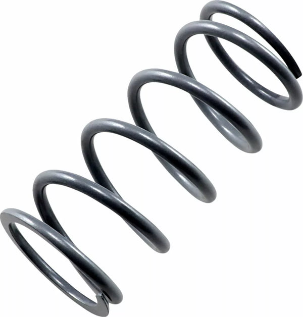 EPI Primary Spring Silver PS-6