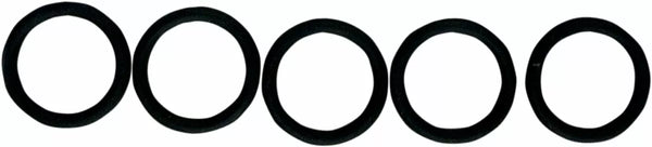 O-Ring-Ring LWR checkValve 5pk MC200-5